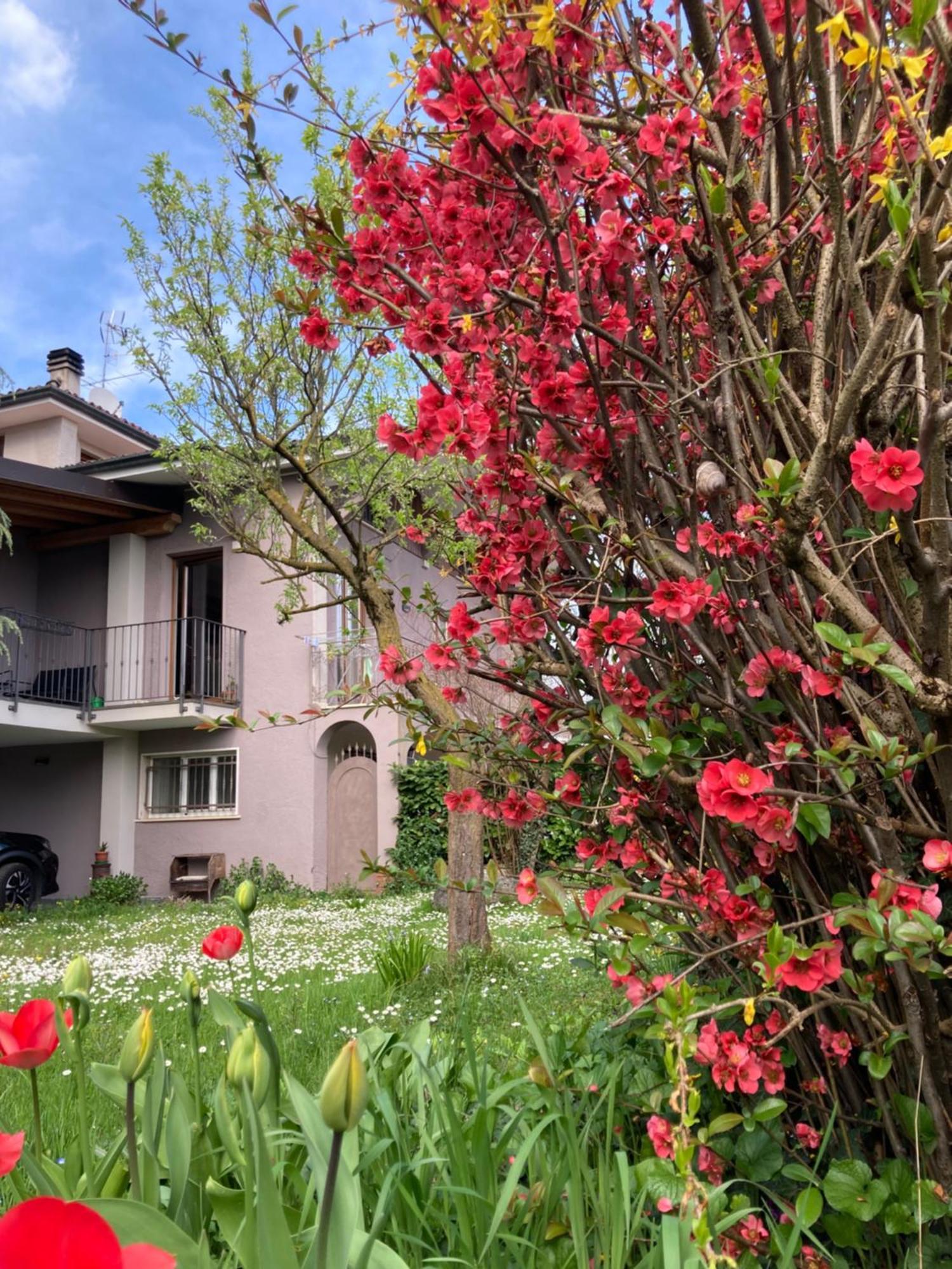 Apartmán Al Clisi Graziosa Mansarda Villanuova sul clisi Exteriér fotografie